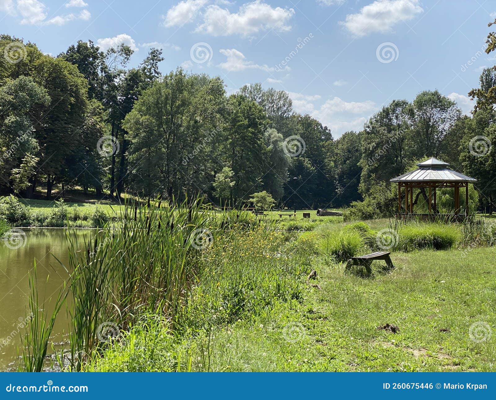 park of the pejacevic castle in nasice or park next to the pejacevic family castle - slavonia, croatia park dvorca pejaÃÂeviÃâ¡